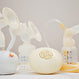 How to Choose a Breast Pump